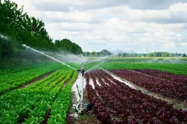 agricultural pipes and fittings from Iran
